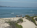 C3-DSCF1666-JP - View of Jimmys from the dunes